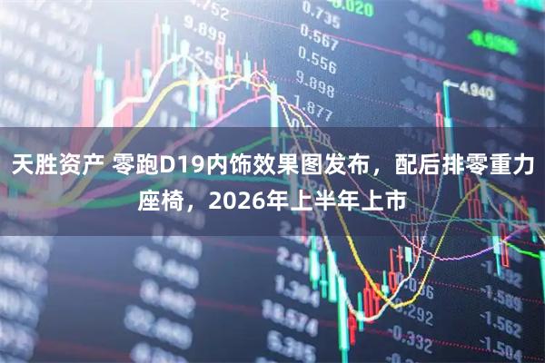 天胜资产 零跑D19内饰效果图发布，配后排零重力座椅，2026年上半年上市