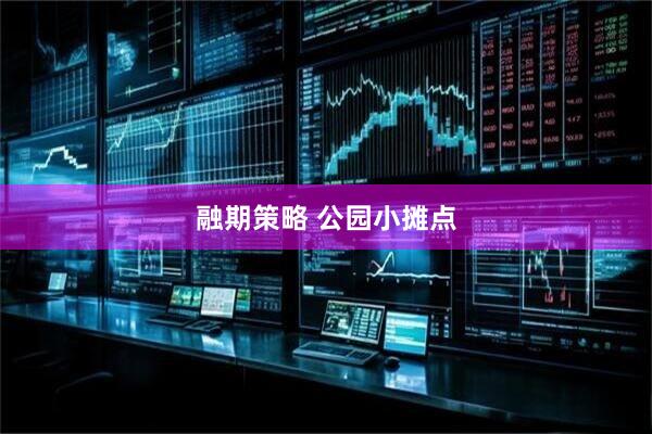 融期策略 公园小摊点