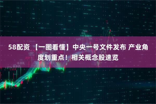 58配资 【一图看懂】中央一号文件发布 产业角度划重点！相关概念股速览