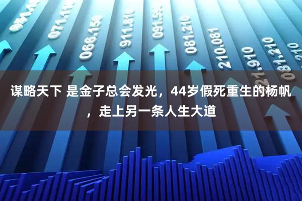 谋略天下 是金子总会发光，44岁假死重生的杨帆，走上另一条人生大道