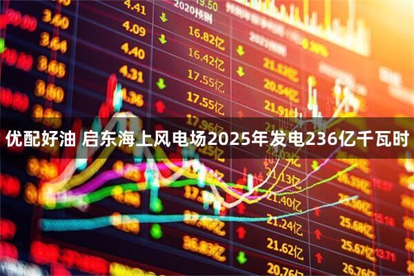 优配好油 启东海上风电场2025年发电236亿千瓦时