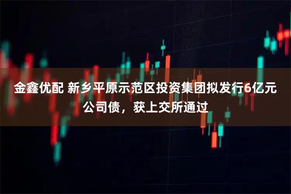 金鑫优配 新乡平原示范区投资集团拟发行6亿元公司债，获上交所通过